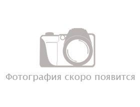 08 этаж - 2550 м<sup>2</sup>